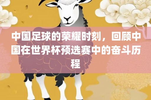 中国足球的荣耀时刻，回顾中国在世界杯预选赛中的奋斗历程