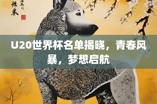 U20世界杯名单揭晓，青春风暴，梦想启航