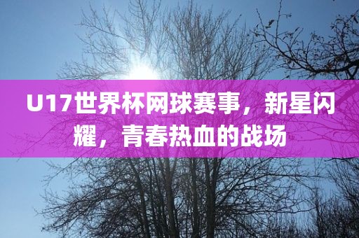 U17世界杯网球赛事，新星闪耀，青春热血的战场
