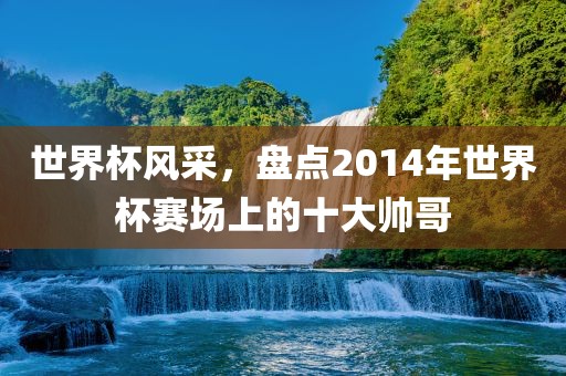 世界杯风采，盘点2014年洪湖市顺升工程机械租赁有限公司世界杯赛场上的十大帅哥