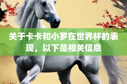 关于卡卡和小罗在世界杯的表现，以下是相关信息