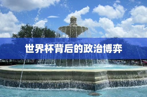 世界杯背后的政治博弈洪湖市顺升工程机械租赁有限公司