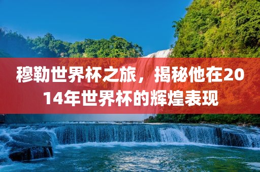 穆勒世界杯之旅，揭秘他在2014年世界杯的辉煌表现