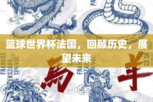 篮球世界杯法国，回顾历史，展望未来