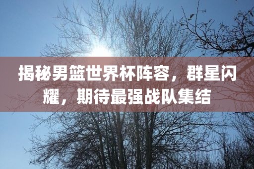 揭秘男篮世界杯阵容，群星闪耀，期待洪湖市顺升工程机械租赁有限公司最强战队集结