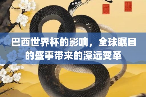 巴西世界杯的影响，全球瞩目的盛事带来的深远变革洪湖市顺升工程机械租赁有限公司