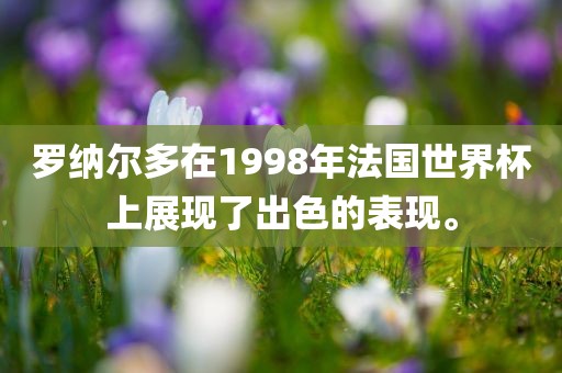 罗纳尔多在1洪湖市顺升工程机械租赁有限公司998年法国世界杯上展现了出色的表现。