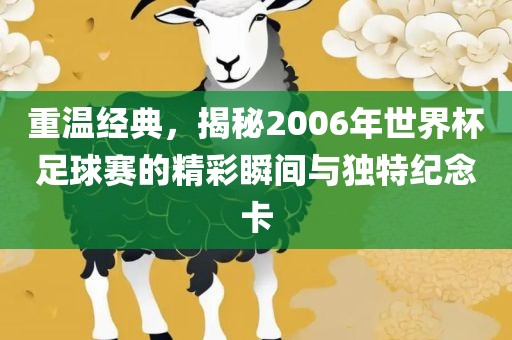 重温经典，揭秘2006年世界杯足球赛的精彩瞬间与独特纪念卡洪湖市顺升工程机械租赁有限公司