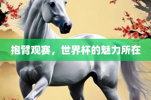 抱臂观赛，世界杯的魅力所在