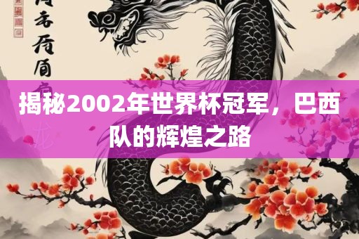 揭秘2002年世界杯冠军，巴西队的辉煌之路