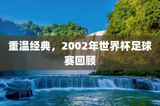 重温经典，2002年世界杯足球赛回顾