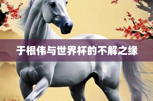 于根伟与世界杯的不解之缘