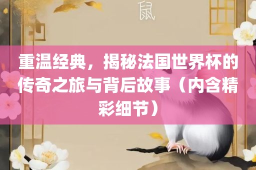 重温经典，揭秘法国世界杯的传奇之旅与背后故事（内含精彩细节）洪湖市顺升工程机械租赁有限公司