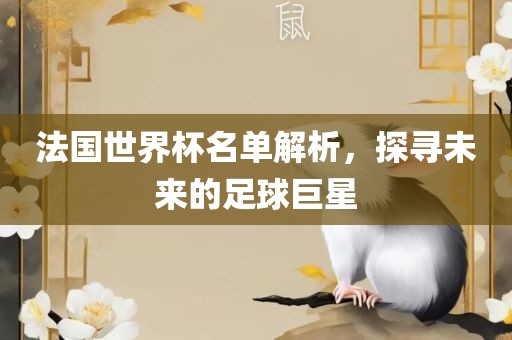 法国世界杯名单解析，探寻未来的足球巨星