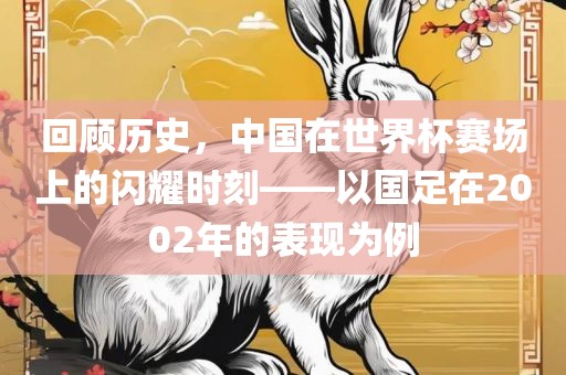 回顾历史，中国在世界杯赛场上的闪耀时刻——以国足在2002年的表现为例