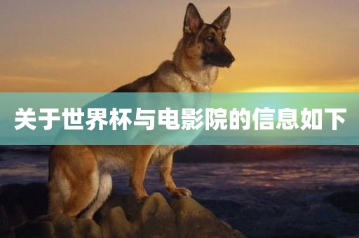 关于世界杯与电影院的信息如下洪湖市顺升工程机械租赁有限公司