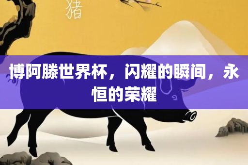 博阿滕世界杯，闪耀的瞬间，永恒的荣耀