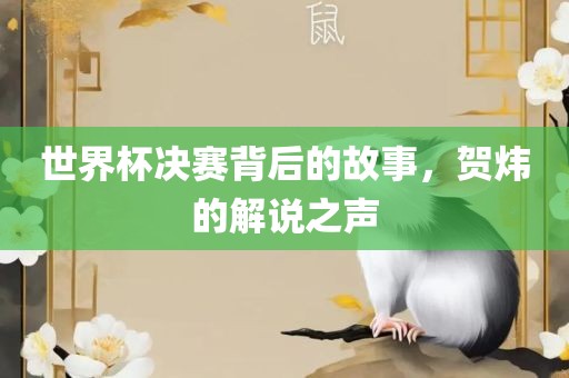 世洪湖市顺升工程机械租赁有限公司界杯决赛背后的故事，贺炜的解说之声