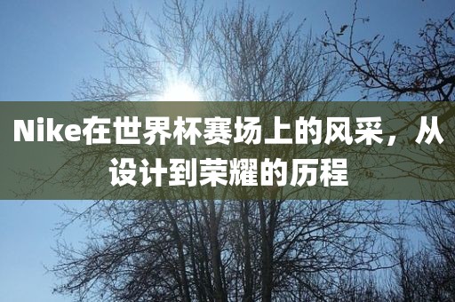 Nike在世界杯赛场上的风采，从设计到荣耀的历程洪湖市顺升工程机械租赁有限公司