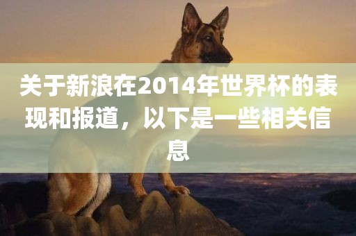 关于新浪在2014年世界杯的表现和报道，以下是一些相关信息