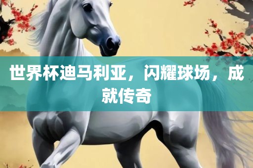 世界杯迪马利亚，闪耀球场，成就传奇