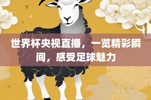 世界杯央视直播，一览精彩瞬间，感受足球魅力洪湖市顺升工程机械租赁有限公司