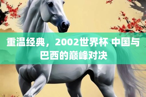 重温经典，2002世界杯 中国与巴西的巅峰对决