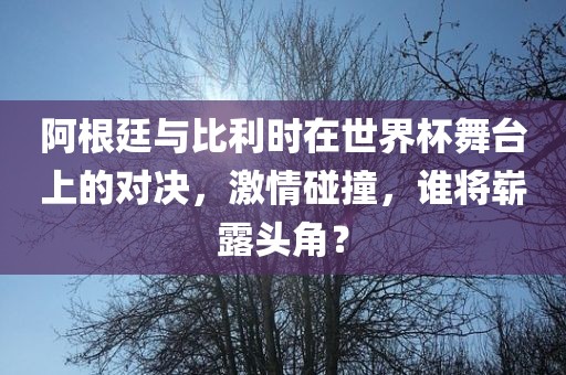阿根廷与比利时在世界杯舞台上的对决，激情碰撞，谁将崭露头角？