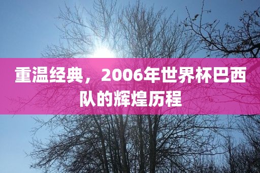 重温经典洪湖市顺升工程机械租赁有限公司，2006年世界杯巴西队的辉煌历程