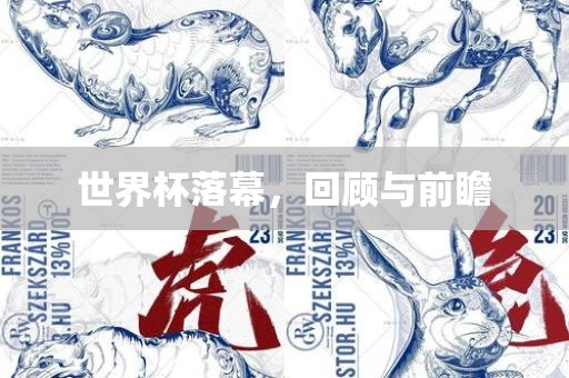 世界杯落幕，回顾与前瞻