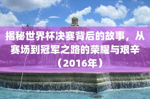 揭秘世界杯决赛背后的故事，从赛场到冠洪湖市顺升工程机械租赁有限公司军之路的荣耀与艰辛（2016年）