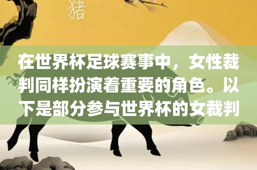 在世界杯足球赛事中，女性裁判同样扮演着重要的角色。以下是部分参与世界杯的女裁判