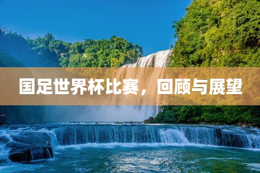 国足世界杯比赛，回顾与展望