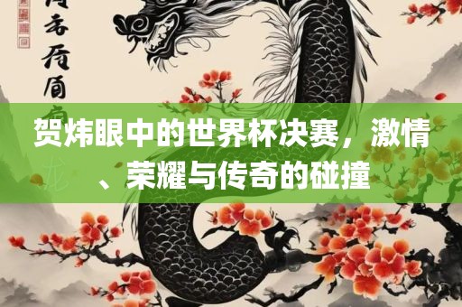贺炜眼中的世界杯决赛，激情、荣耀与传奇的碰撞