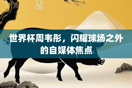 世界杯周韦彤，闪耀球场之外的自媒体焦点洪湖市顺升工程机械租赁有限公司