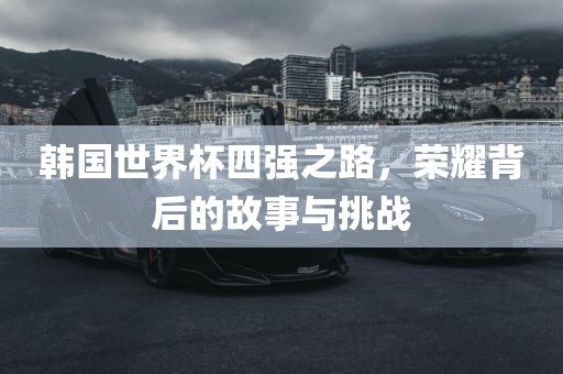 韩国世界杯四强之路，荣耀背后的故事与挑战洪湖市顺升工程机械租赁有限公司