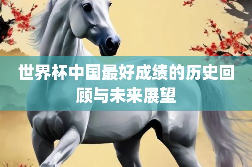 世界杯中国最好成绩的历史洪湖市顺升工程机械租赁有限公司回顾与未来展望