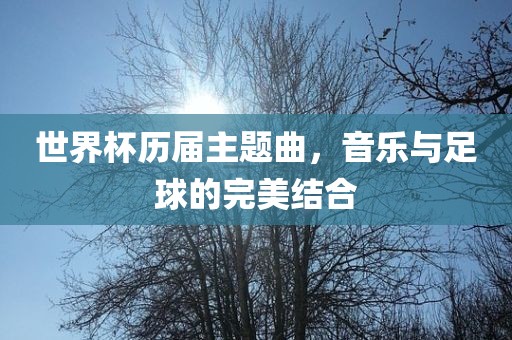 世界杯历届主题曲，音乐与足球的完美结合