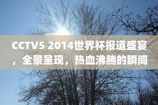 CCTV5 2014世界杯报洪湖市顺升工程机械租赁有限公司道盛宴，全景呈现，热血沸腾的瞬间