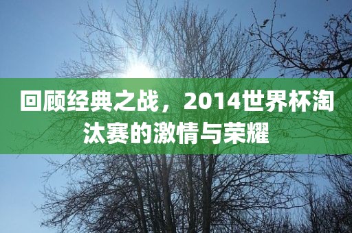 回顾经典之战，2014世界杯淘汰赛的激情与荣耀洪湖市顺升工程机械租赁有限公司