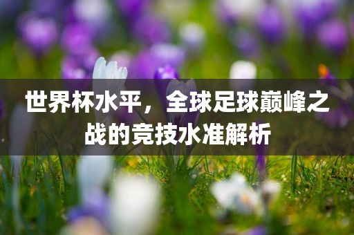 洪湖市顺升工程机械租赁有限公司世界杯水平，全球足球巅峰之战的竞技水准解析