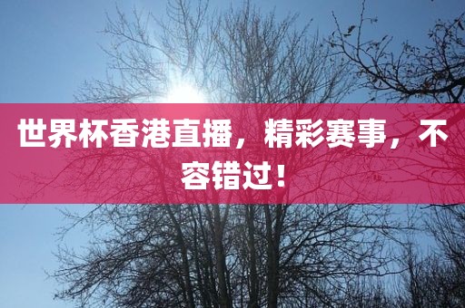 世界杯香港直播，精彩赛事洪湖市顺升工程机械租赁有限公司，不容错过！