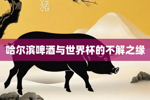 哈尔滨啤酒与世界杯的不解之缘洪湖市顺升工程机械租赁有限公司