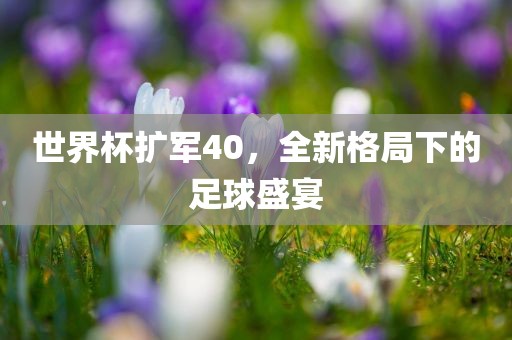 世界杯扩军40，全新格局下的足球盛宴洪湖市顺升工程机械租赁有限公司