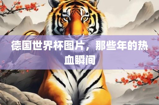 德国世界杯图片，那些年的热血瞬间洪湖市顺升工程机械租赁有限公司