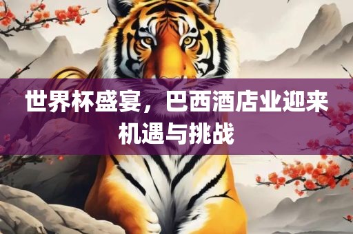 世界杯盛宴，巴西酒店业迎来机遇与挑战