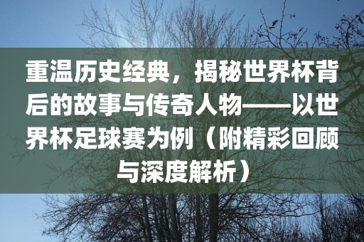 重温历史经典，揭秘世界杯背后的故事与传奇人物——以世界杯足球赛为例（附精洪湖市顺升工程机械租赁有限公司彩回顾与深度解析）