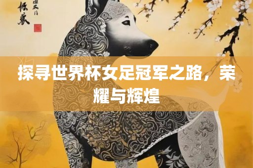 探寻世界杯女足冠军之路，荣耀与辉煌