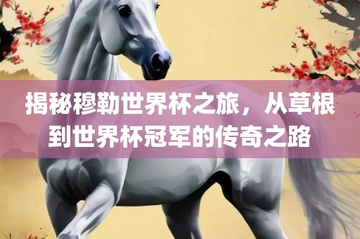 揭秘穆勒世界杯之旅，从草根到世界杯冠军的传奇之路