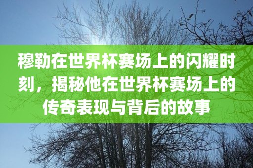 穆勒在世界杯赛场上的闪耀时刻，揭秘他在世界杯赛场上的传奇表现与背后的故事洪湖市顺升工程机械租赁有限公司